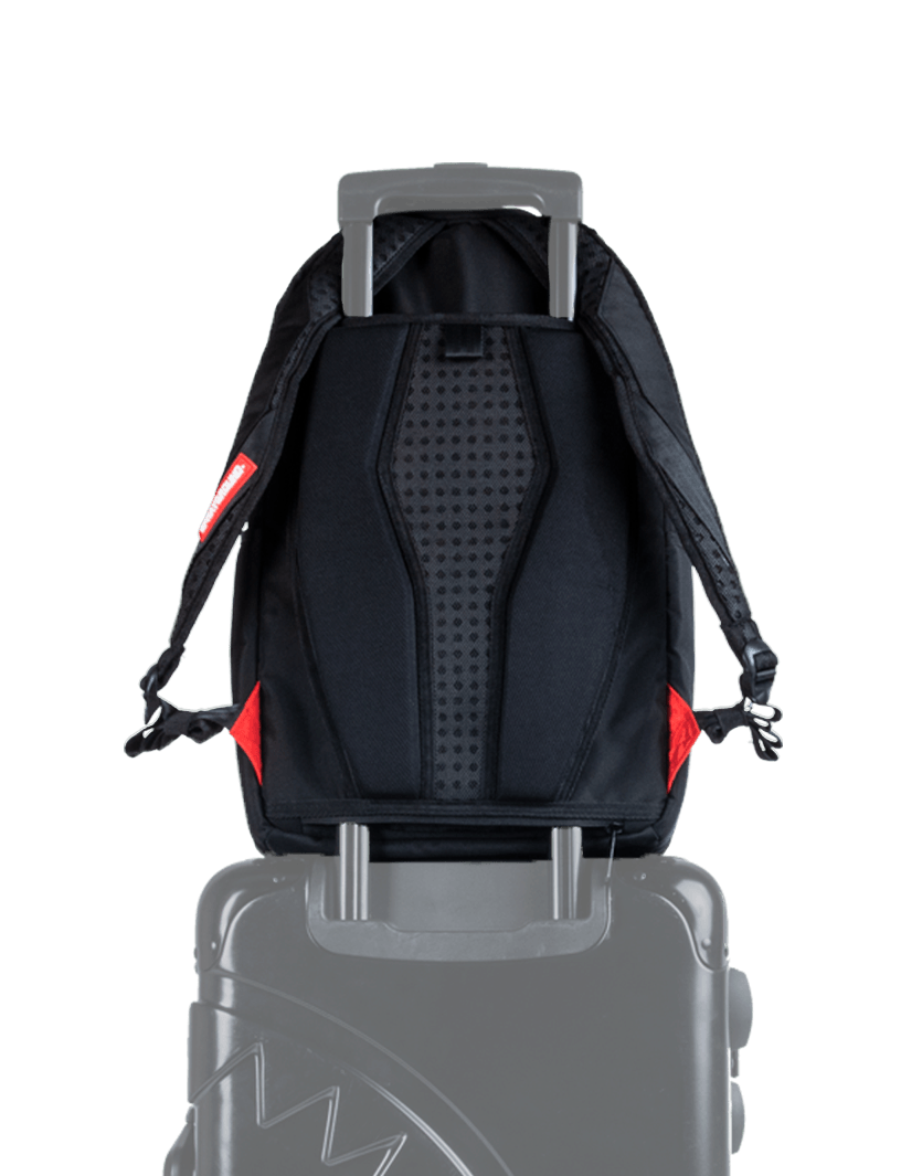 COYOTE VS ROADRUNNER SHARK